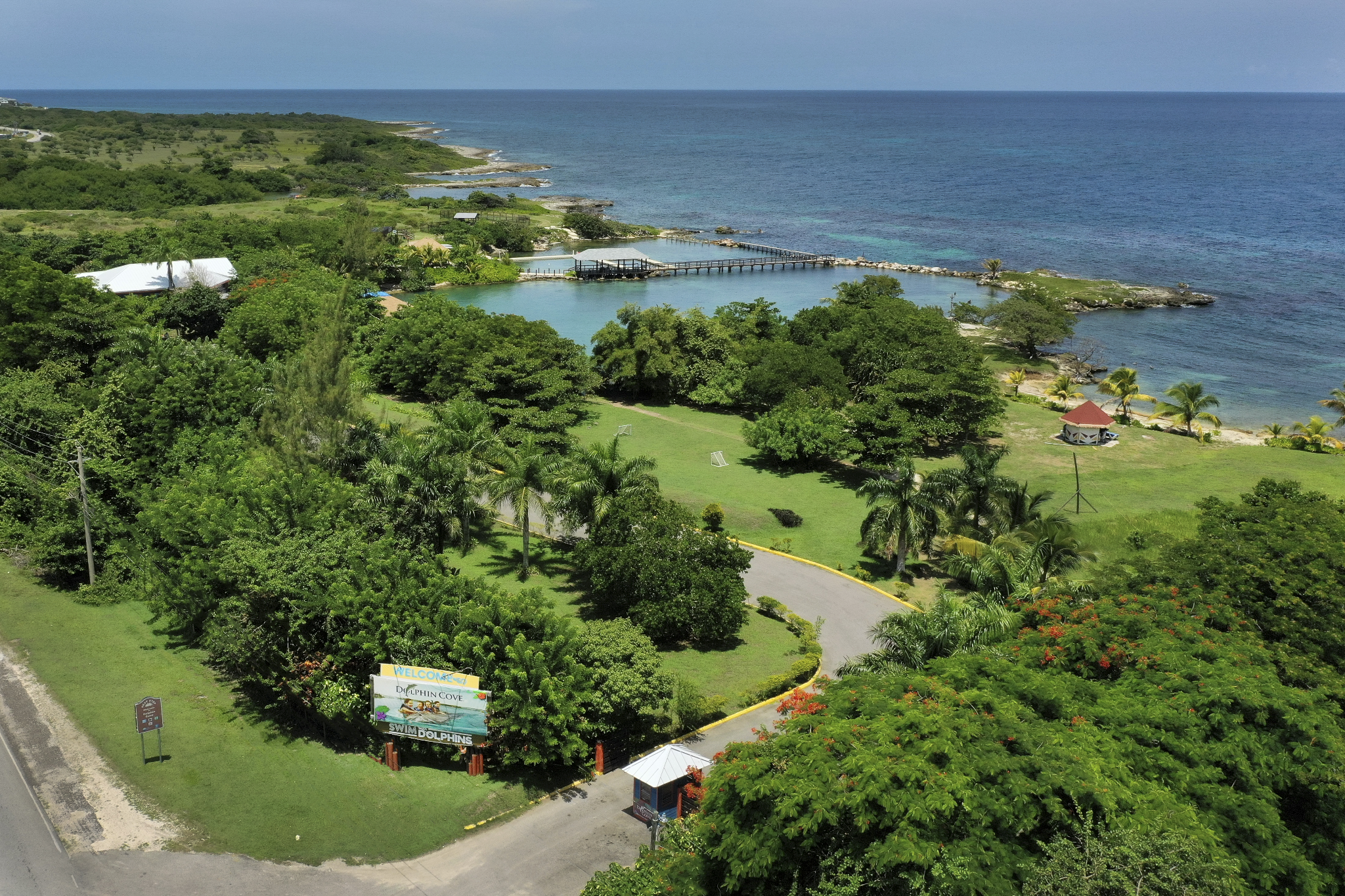Explore Jamaica: Best Shore Excursions on Your Cruise Vacation