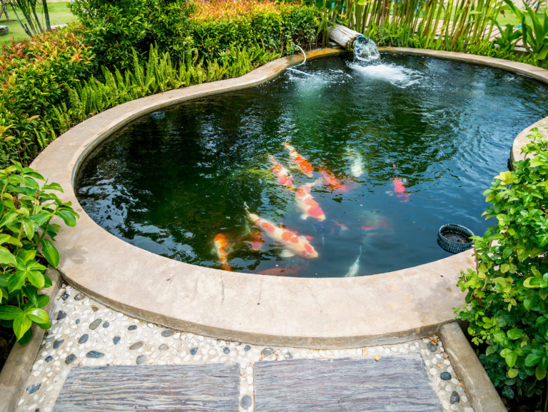 Adding zen to your outdoors how to make a fish pond | lets be game changers | page 2125 lets be game changers