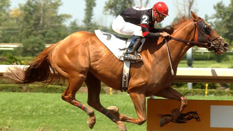 6 things to see and do in melbourne australia | lets be game changers | page 1989 lets be game changers