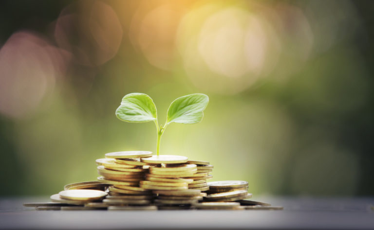 Dont lose your shirt investment tips for newbs | lets be game changers | page 1936 Dont lose your shirt investment tips for newbs | lets be game changers | page 1936 lets be game changers