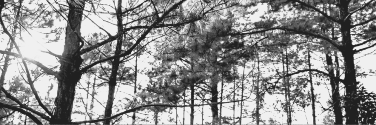 What to look for in a cleaning company | lets be game changers | page 1939 lets be game changers