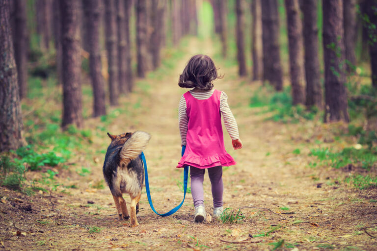 Teach your child safe ways to interact with dogs with these tips | lets be game changers | page 917 Teach your child safe ways to interact with dogs with these tips | lets be game changers | page 917 lets be game changers