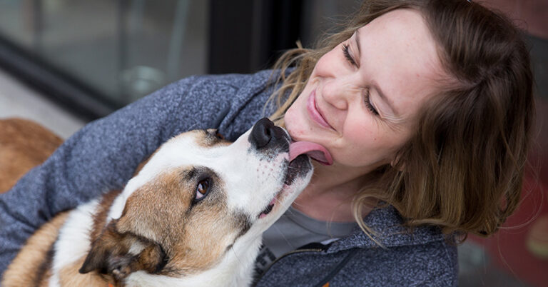 The best ways to show your pet you love them | lets be game changers | page 848 The best ways to show your pet you love them | lets be game changers | page 848 lets be game changers