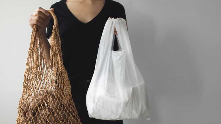 What alternatives are there to plastic bags | lets be game changers | page 657 What alternatives are there to plastic bags | lets be game changers | page 657 lets be game changers