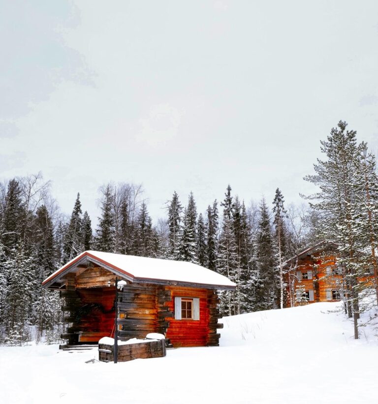 A list of brilliant uses for your very own garden log cabin | lets be game changers | page 553 A list of brilliant uses for your very own garden log cabin | lets be game changers | page 553 lets be game changers