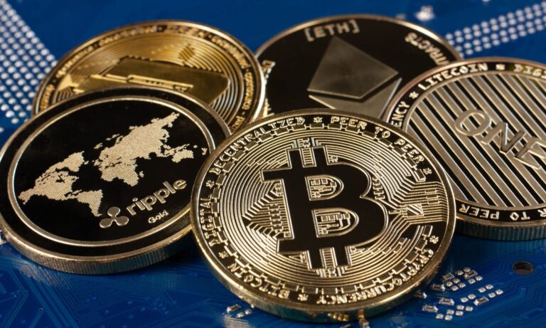 Collecting via crypto using earnity from domenic carosa | lets be game changers | page 529 Collecting via crypto using earnity from domenic carosa | lets be game changers | page 529 lets be game changers