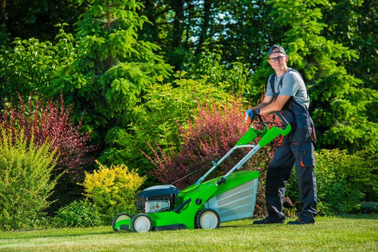 How to start lawn care business | lets be game changers | page 502 How to start lawn care business | lets be game changers | page 502 lets be game changers