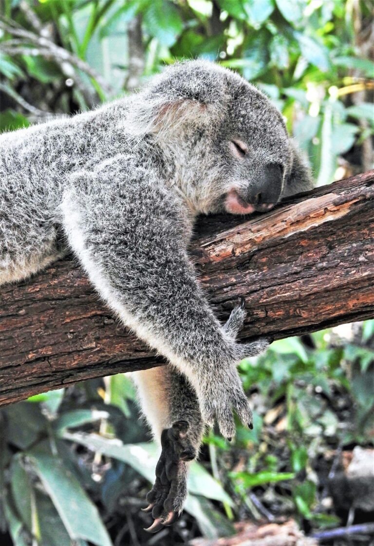 Luke robert flinn best good causes to support in 2023 | lets be game changers | page 266 lets be game changers