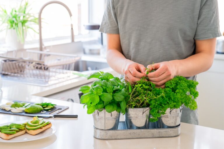 Indoor herb gardens adding a fresh touch to your kitchen | lets be game changers | page 225 lets be game changers
