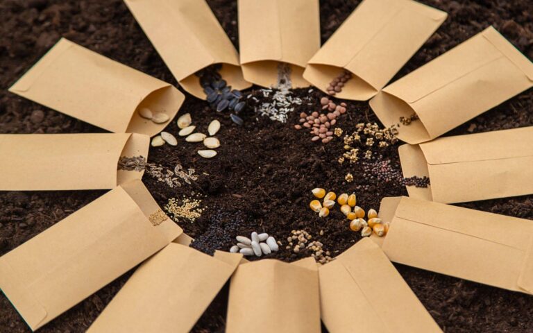 Planting seeds growing joy daniel moses garrison discusses gardening | lets be game changers | page 85 lets be game changers