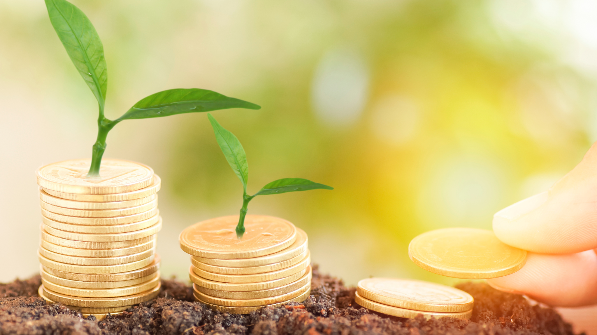 The finance revolution essential reading that made banks go green | lets be game changers lets be game changers